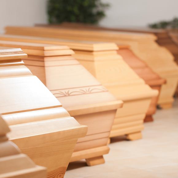 Reihe aus Holzsärgen in verschiedenen Farben steht in einem hellen Raum mit grüner Pflanze im Hintergrund.